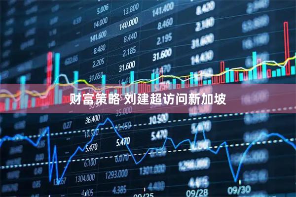财富策略 刘建超访问新加坡